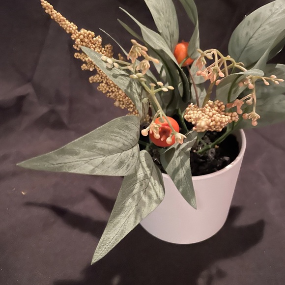 Faux potted plants, 4” tall - Picture 4 of 11